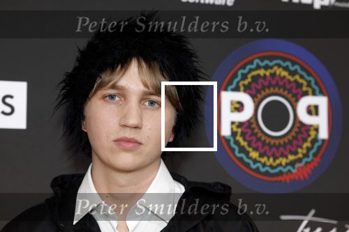 Leusden 9 maart 2026
Uitreiking edisons muziekprijzen bij Afas . 
Milo v d Bos