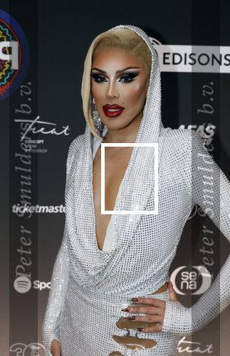 Leusden 9 maart 2026
Uitreiking edisons muziekprijzen bij Afas . Miss Envi Peru