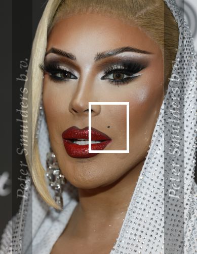 Leusden 9 maart 2026
Uitreiking edisons muziekprijzen bij Afas . Miss Envi Peru