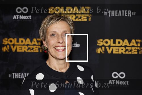 Leiden 31 maart 2026
Premiere Soldaat in verzet in de schouwburg van Leiden. Mylene d Anjou en Sjors Arts
