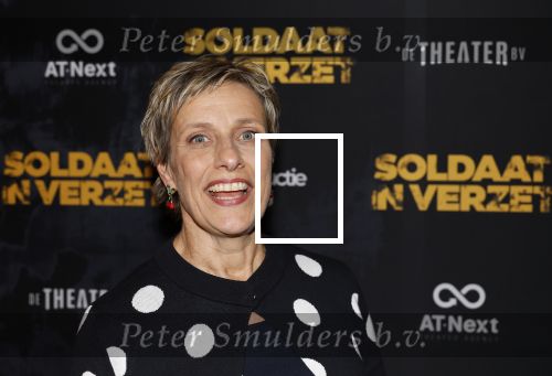 Leiden 31 maart 2026
Premiere Soldaat in verzet in de schouwburg van Leiden. Mylene d Anjou en Sjors Arts