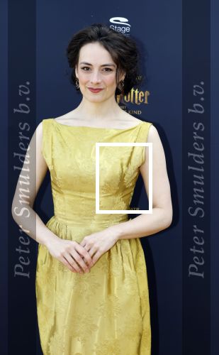 Scheveningen 14 maart 2026
Premiere Harry Potter in het afas circustheater. nandi v Beurden