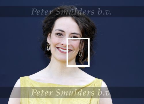 Scheveningen 14 maart 2026
Premiere Harry Potter in het afas circustheater. Nandi v Beurden