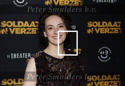 Leiden 31 maart 2026
Premiere Soldaat in verzet in de schouwburg van Leiden. Nandi v Beurden