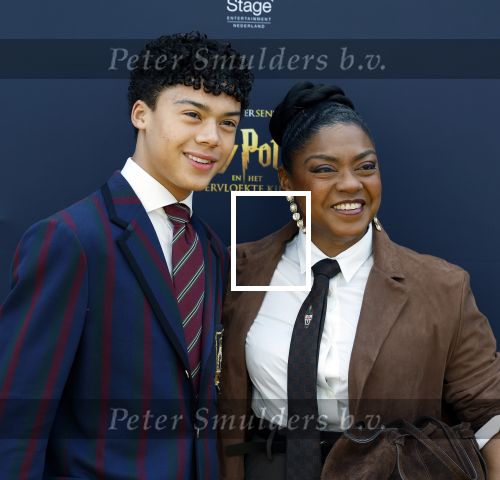 Scheveningen 14 maart 2026
Premiere Harry Potter in het afas circustheater. Natacha Harlequin met haar zoon
