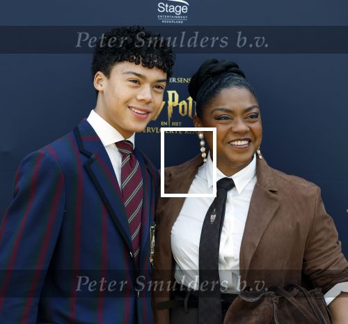 Scheveningen 14 maart 2026
Premiere Harry Potter in het afas circustheater. Natacha Harlequin met haar zoon