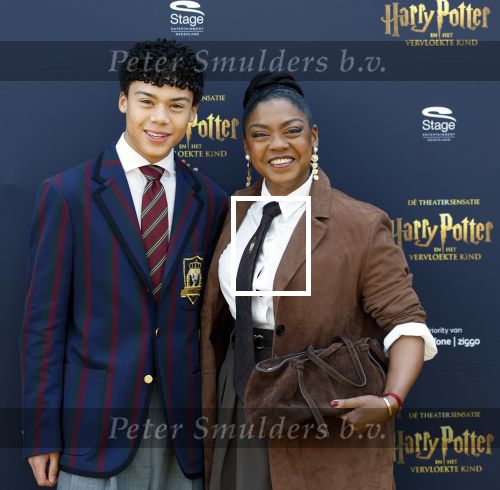 Scheveningen 14 maart 2026
Premiere Harry Potter in het afas circustheater. Natacha Harlequin met haar zoon