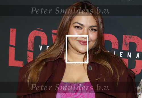 Amsterdam 24 maart 2026
Premiere Loverboys in Tuschinski. Nathalie Boone