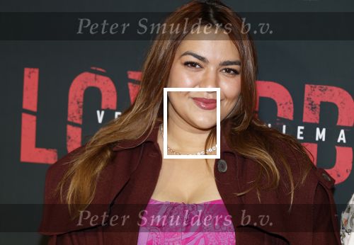 Amsterdam 24 maart 2026
Premiere Loverboys in Tuschinski. Nathalie Boone