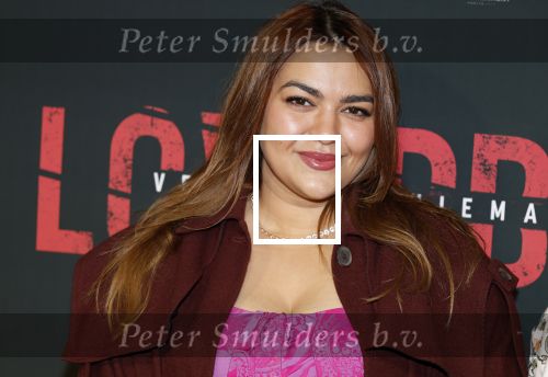 Amsterdam 24 maart 2026
Premiere Loverboys in Tuschinski. Nathalie Boone