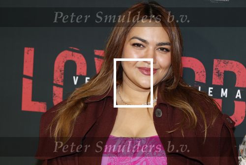 Amsterdam 24 maart 2026
Premiere Loverboys in Tuschinski. Nathalie Boone