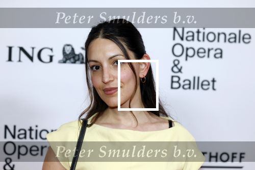 Amsterdam 26 maart 2026
Premiere Nationaal Ballet in de stopera.
Naz Kawan