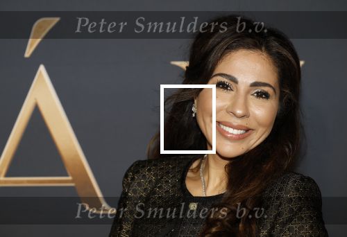 Amsterdam 11 maart 2026
Premiere 2e seizoen Maxima ( Videoland) in nieuwe kerk in Amsterdam . Niama Amhali