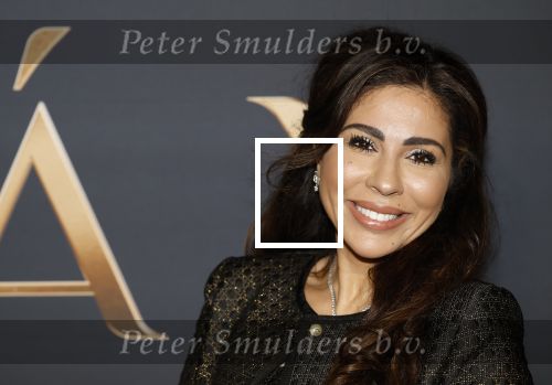 Amsterdam 11 maart 2026
Premiere 2e seizoen Maxima ( Videoland) in nieuwe kerk in Amsterdam . Niama Amhali