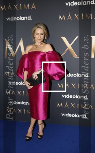 Amsterdam 11 maart 2026
Premiere 2e seizoen Maxima ( Videoland) in nieuwe kerk in Amsterdam . Nikkie Plessen