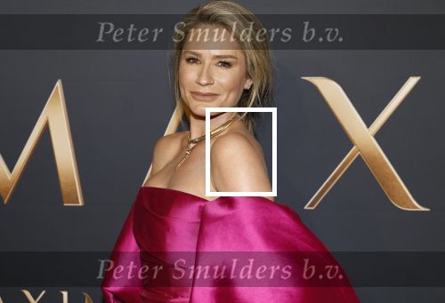 Amsterdam 11 maart 2026
Premiere 2e seizoen Maxima ( Videoland) in nieuwe kerk in Amsterdam . Nikkie Plessen