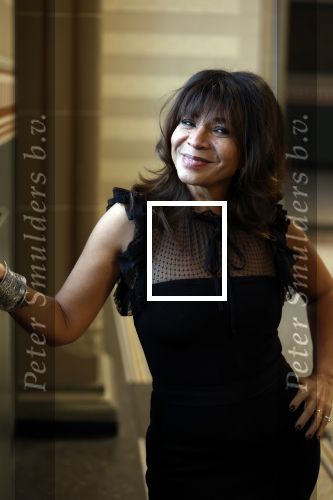 Amsterdam 16 maart 2026
presentatie Cats met oa Nurlaila Kareem in het rijksmuseum .