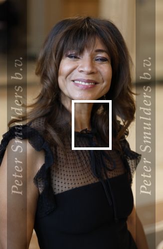 Amsterdam 16 maart 2026
presentatie Cats met oa Nurlaila Kareem in het rijksmuseum .