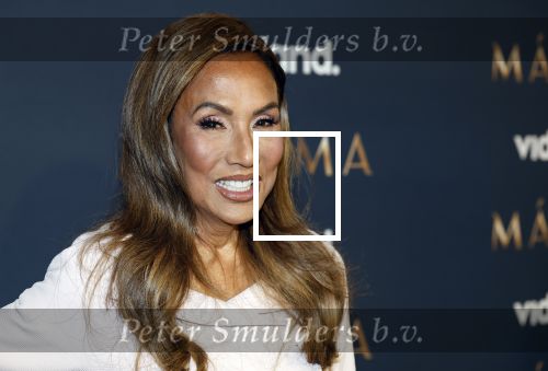 Amsterdam 11 maart 2026
Premiere 2e seizoen Maxima ( Videoland) in nieuwe kerk in Amsterdam . Patty Brard
