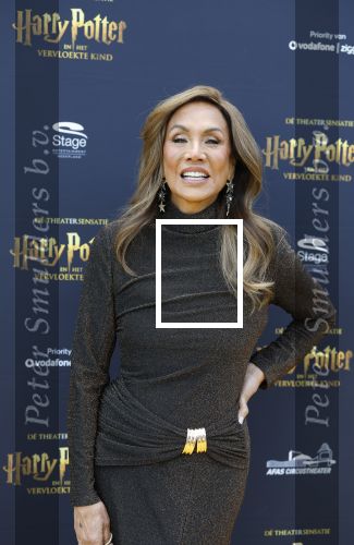 Scheveningen 14 maart 2026
Premiere Harry Potter in het afas circustheater. Patty Brard