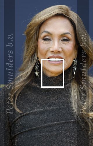 Scheveningen 14 maart 2026
Premiere Harry Potter in het afas circustheater. Patty Brard
