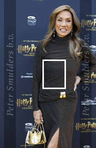 Scheveningen 14 maart 2026
Premiere Harry Potter in het afas circustheater. Patty Brard