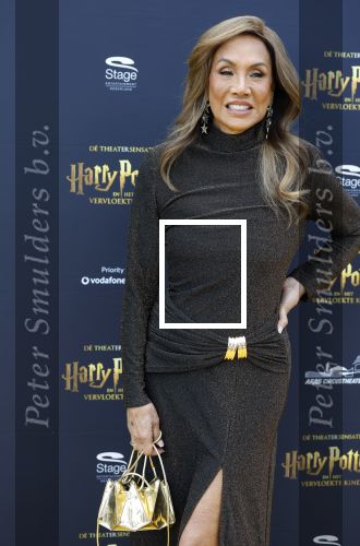 Scheveningen 14 maart 2026
Premiere Harry Potter in het afas circustheater. Patty Brard