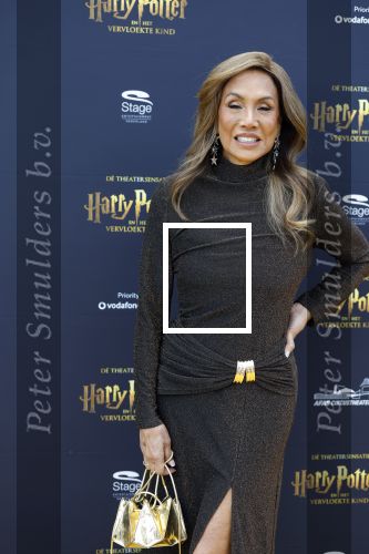 Scheveningen 14 maart 2026
Premiere Harry Potter in het afas circustheater. Patty Brard