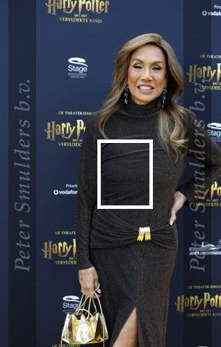 Scheveningen 14 maart 2026
Premiere Harry Potter in het afas circustheater. Patty Brard