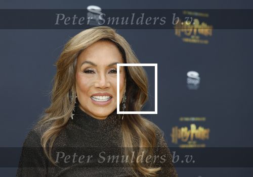 Scheveningen 14 maart 2026
Premiere Harry Potter in het afas circustheater. Patty Brard