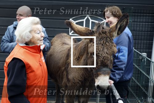 Amsterdam 13 maart 2026
Prinses Beatrix bezoekt kinderboerderij in Amsterdam voor NL Doet