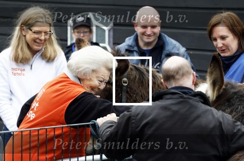 Amsterdam 13 maart 2026
Prinses Beatrix bezoekt kinderboerderij in Amsterdam voor NL Doet