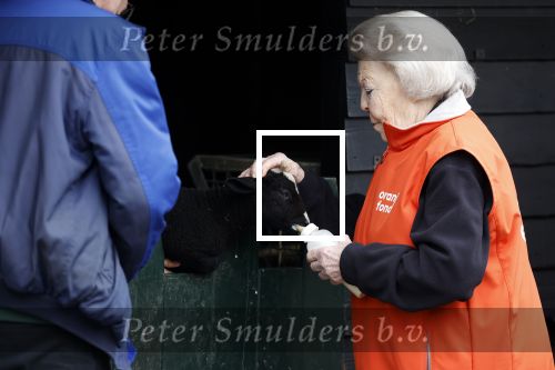 Amsterdam 13 maart 2026
Prinses Beatrix bezoekt kinderboerderij in Amsterdam voor NL Doet