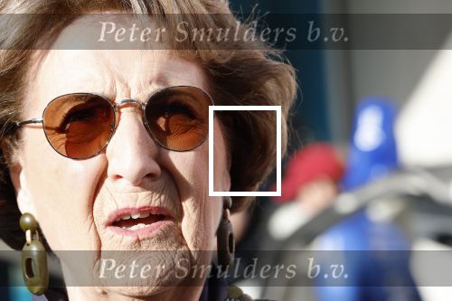 Heerenveen 29 maart 2026
De 10e hollandse 100 in Thialf georganiseerd door oa Prins Bernhard . Zijn moeder Prinses Margriet deed het startschot.