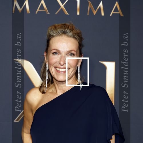 Amsterdam 11 maart 2026
Premiere 2e seizoen Maxima ( Videoland) in nieuwe kerk in Amsterdam . Rachel v Bommel