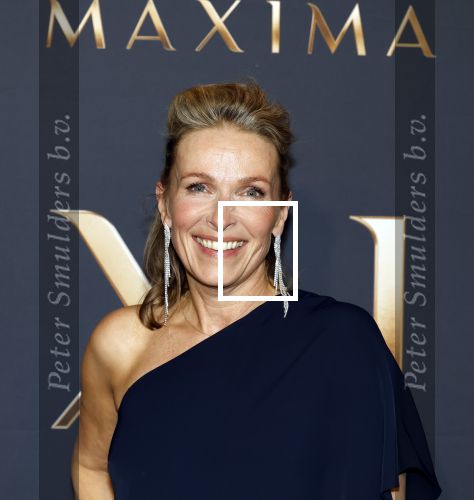 Amsterdam 11 maart 2026
Premiere 2e seizoen Maxima ( Videoland) in nieuwe kerk in Amsterdam . Rachel v Bommel