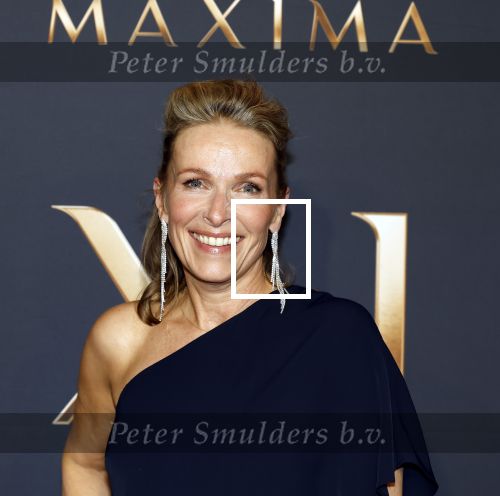 Amsterdam 11 maart 2026
Premiere 2e seizoen Maxima ( Videoland) in nieuwe kerk in Amsterdam . Rachel v Bommel