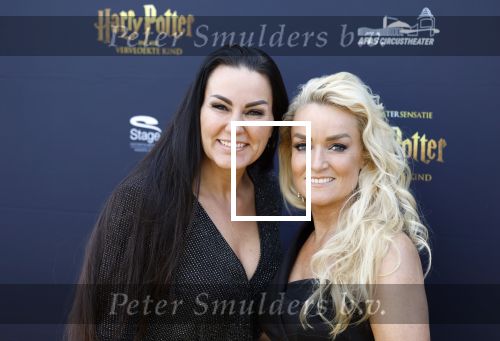 Scheveningen 14 maart 2026
Premiere Harry Potter in het afas circustheater. Samantha Steenwijk met partner