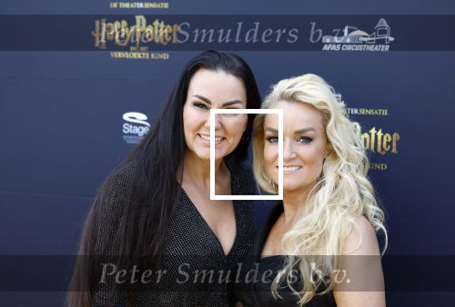 Scheveningen 14 maart 2026
Premiere Harry Potter in het afas circustheater. Samantha Steenwijk met partner