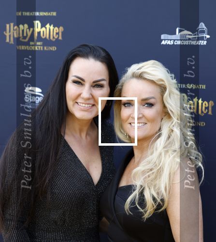 Scheveningen 14 maart 2026
Premiere Harry Potter in het afas circustheater. Samantha Steenwijk met partner
