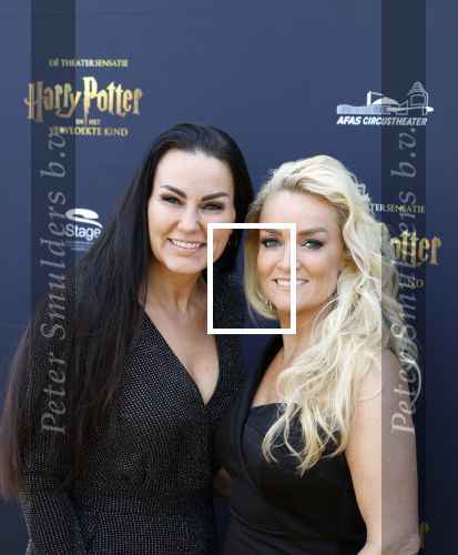 Scheveningen 14 maart 2026
Premiere Harry Potter in het afas circustheater. Samantha Steenwijk met partner