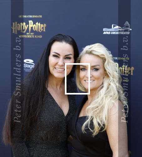 Scheveningen 14 maart 2026
Premiere Harry Potter in het afas circustheater. Samantha Steenwijk met partner