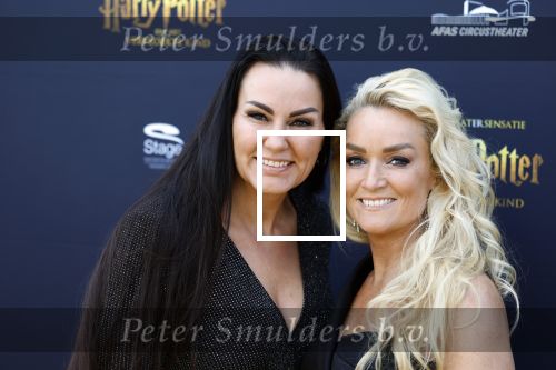 Scheveningen 14 maart 2026
Premiere Harry Potter in het afas circustheater. Samantha Steenwijk met partner
