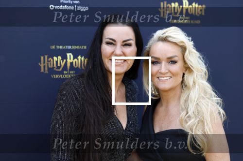 Scheveningen 14 maart 2026
Premiere Harry Potter in het afas circustheater. Samantha Steenwijk met partner