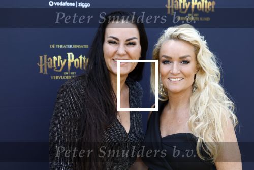 Scheveningen 14 maart 2026
Premiere Harry Potter in het afas circustheater. Samantha Steenwijk met partner