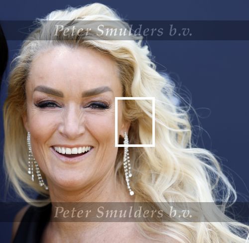 Scheveningen 14 maart 2026
Premiere Harry Potter in het afas circustheater. Samantha Steenwijk met partner