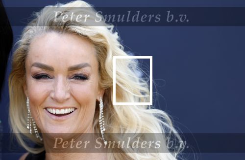 Scheveningen 14 maart 2026
Premiere Harry Potter in het afas circustheater. Samantha Steenwijk met partner