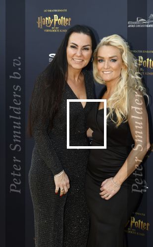 Scheveningen 14 maart 2026
Premiere Harry Potter in het afas circustheater. Samantha Steenwijk met partner