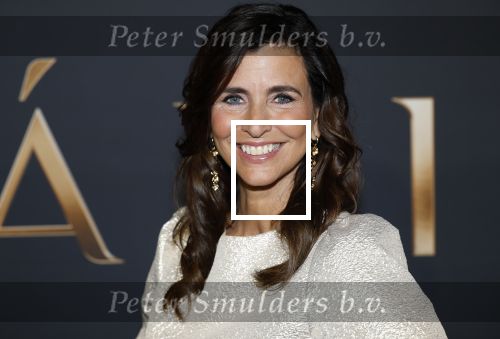 Amsterdam 11 maart 2026
Premiere 2e seizoen Maxima ( Videoland) in nieuwe kerk in Amsterdam . Sandra Schuurhof