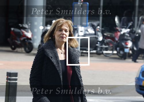 Lelystad 31 maart 2026
Rechtszaak Edwin de Roy v Zuydewijn had rechtszaak aangespannen tegen producent van serie over Prinses Margarita . Er was veel pers maar hij kwam niet opdagen . saskia Belleman